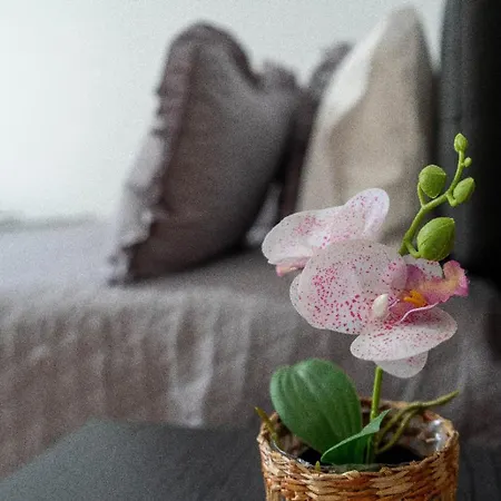 Casa De Santo Amaro Nyaraló