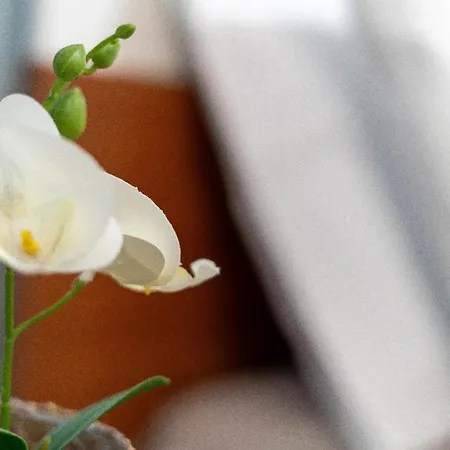 Nyaraló Casa De Santo Amaro *