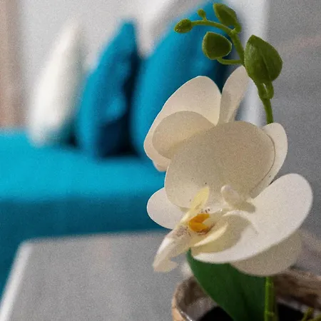 Holiday home Casa De Santo Amaro Aveiro