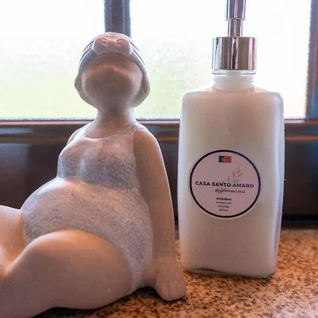 Дом отдыха Casa De Santo Amaro Carrazedo (Aveiro)