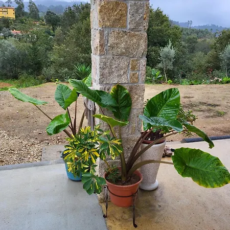 Casa De Santo Amaro